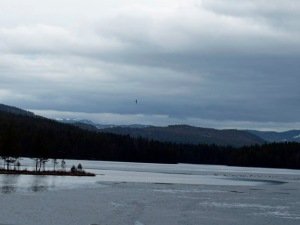 Im Fjell gibt es noch Resteisdecken auf den Seen